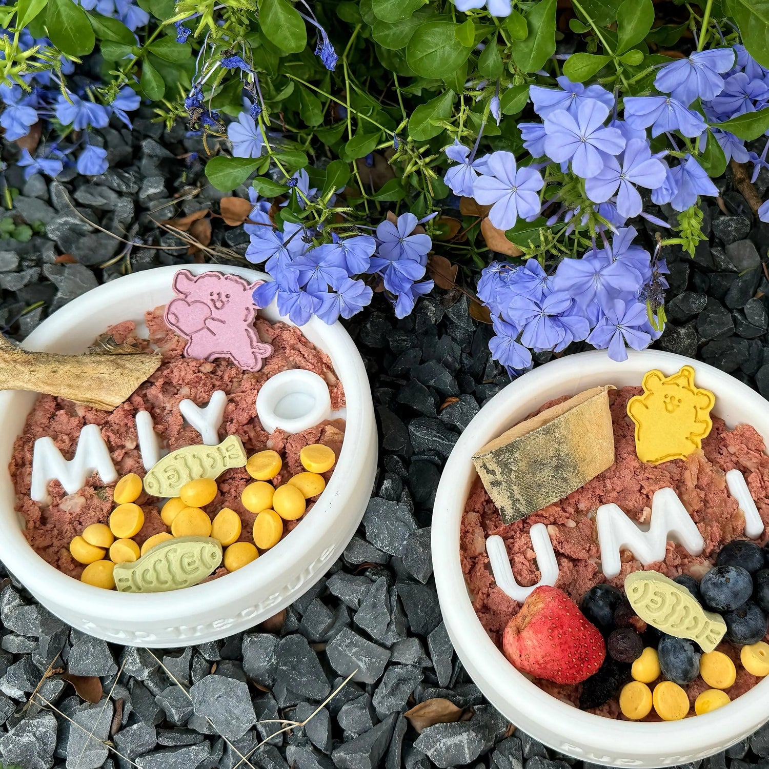 Personalised dog bowls slow feeder