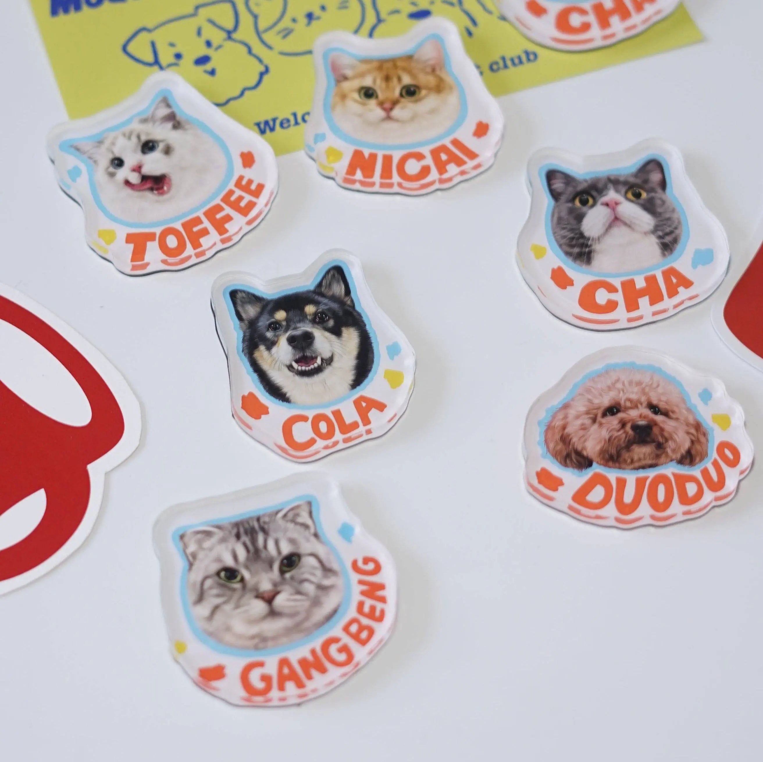 Custom dog fridge magnets - Pup Treasure