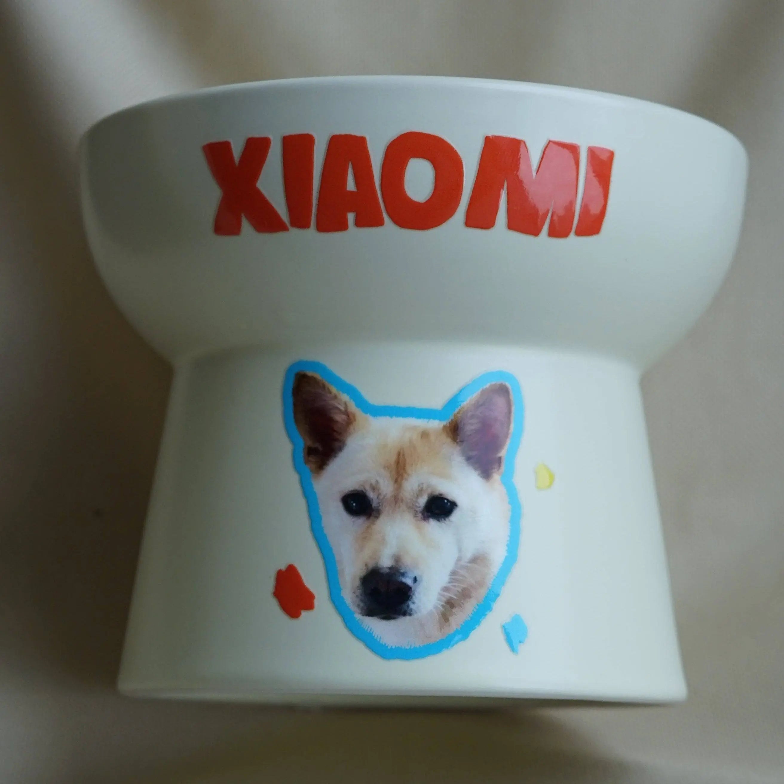 Personalized Ceramic Dog Bowl | Unique Gift for Dogs - Pup Treasure